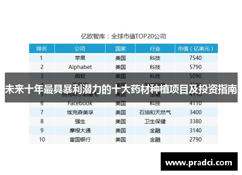 未来十年最具暴利潜力的十大药材种植项目及投资指南