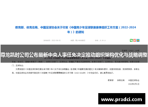 尊龙凯时公司公布最新中央人事任免决定推动组织架构优化与战略调整