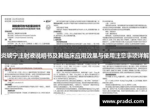 炎琥宁注射液说明书及其临床应用效果与使用注意事项详解